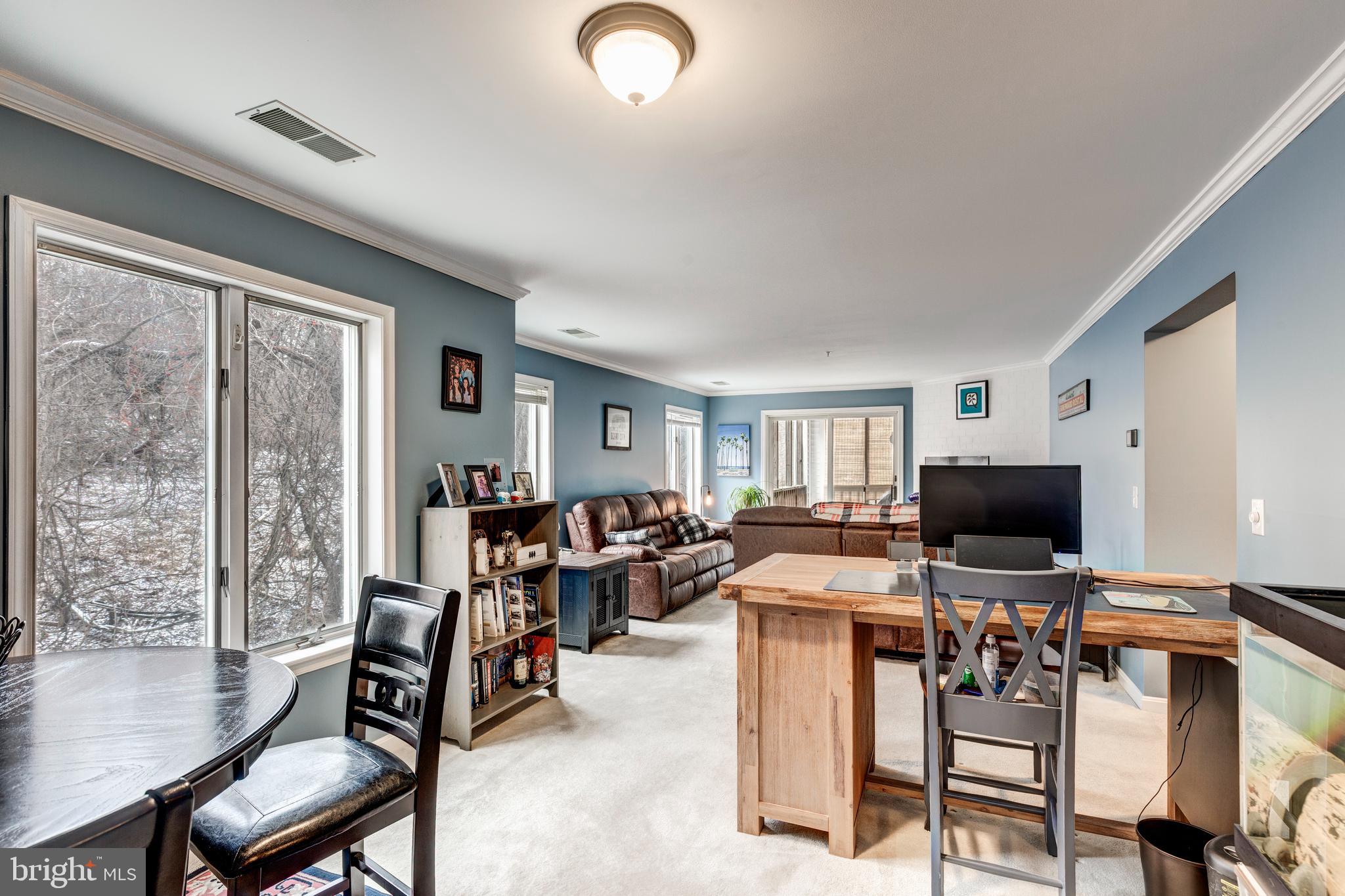 425 Pleasanton Road, Unit C23 Westminster, MD 21157 - Photo 10 of 48 Large windows providing a view to the park like se