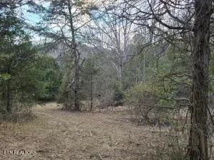 $205,000 | 4123 Panther Creek Road, Sneedville, TN 37869