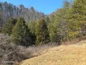 $205,000 | 4123 Panther Creek Road, Sneedville, TN 37869