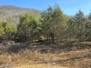 $205,000 | 4123 Panther Creek Road, Sneedville, TN 37869