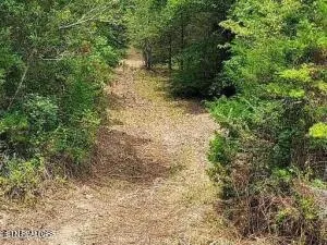 $205,000 | 4123 Panther Creek Road, Sneedville, TN 37869