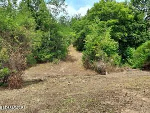 $205,000 | 4123 Panther Creek Road, Sneedville, TN 37869