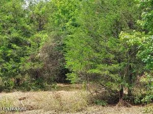 $205,000 | 4123 Panther Creek Road, Sneedville, TN 37869