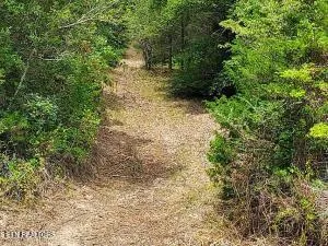 $205,000 | 4123 Panther Creek Road, Sneedville, TN 37869