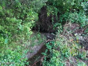 $205,000 | 4123 Panther Creek Road, Sneedville, TN 37869