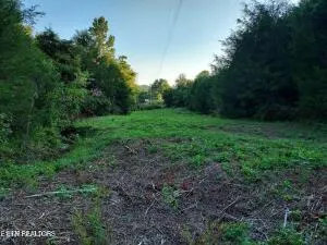 $205,000 | 4123 Panther Creek Road, Sneedville, TN 37869