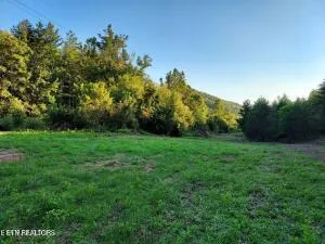 $205,000 | 4123 Panther Creek Road, Sneedville, TN 37869