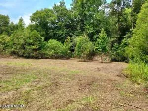 $205,000 | 4123 Panther Creek Road, Sneedville, TN 37869