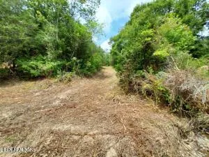 $205,000 | 4123 Panther Creek Road, Sneedville, TN 37869