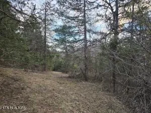 $205,000 | 4123 Panther Creek Road, Sneedville, TN 37869