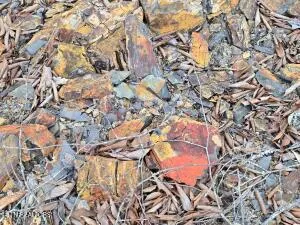 $205,000 | 4123 Panther Creek Road, Sneedville, TN 37869