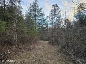 $205,000 | 4123 Panther Creek Road, Sneedville, TN 37869