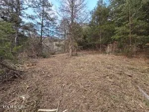 $205,000 | 4123 Panther Creek Road, Sneedville, TN 37869