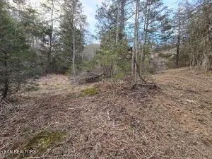 $205,000 | 4123 Panther Creek Road, Sneedville, TN 37869