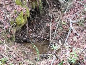 $205,000 | 4123 Panther Creek Road, Sneedville, TN 37869