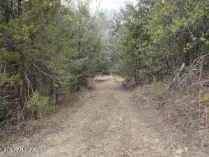 $205,000 | 4123 Panther Creek Road, Sneedville, TN 37869