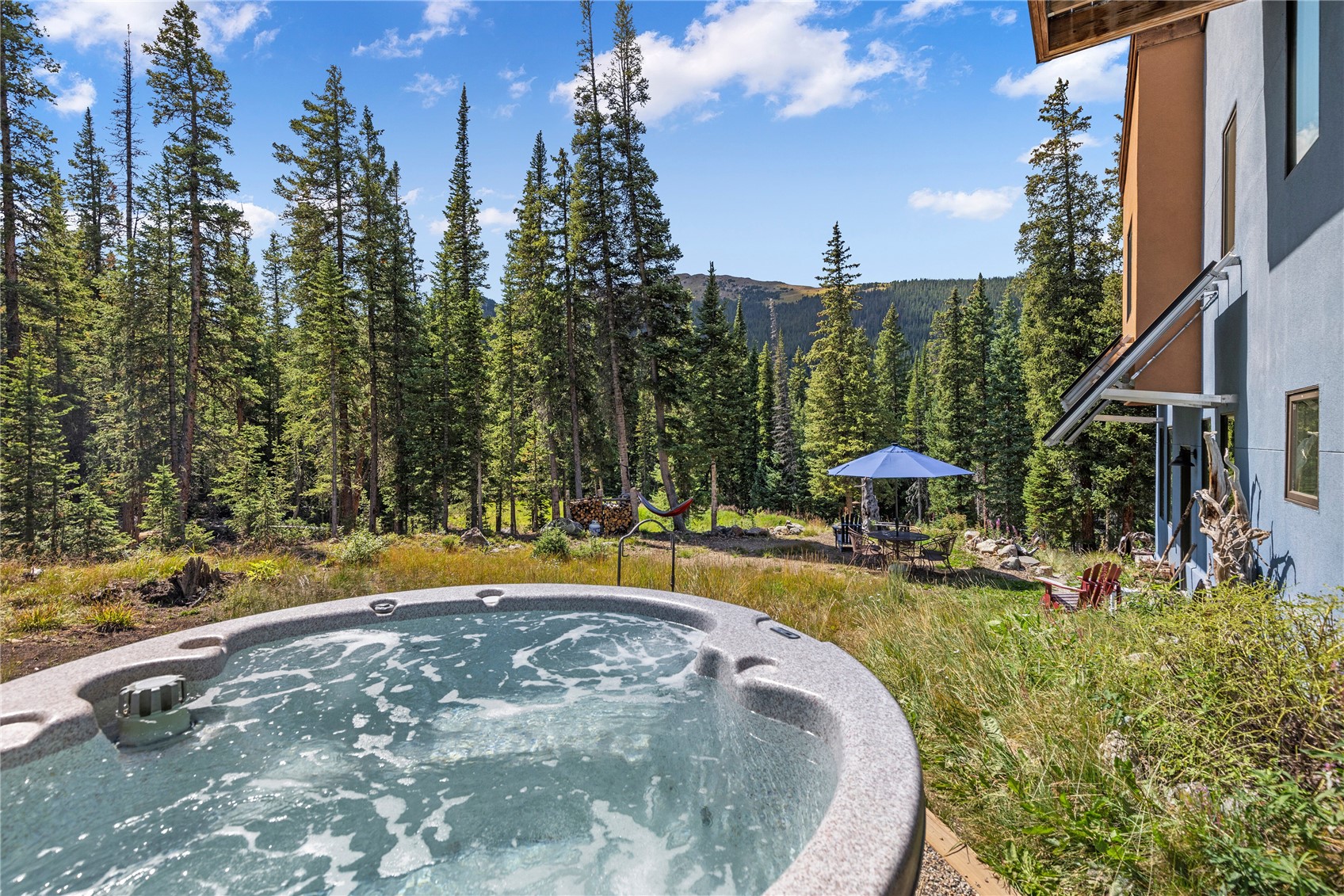 125 Webster Pass Road Dillon, CO 80435 - Photo 28 of 35 Gallery Image 28