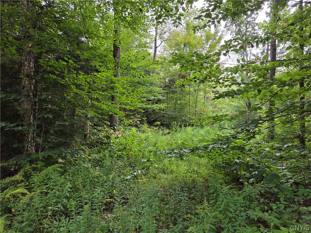 0 William Ernst Road West Leyden, NY 13489 - Photo 2 of 5