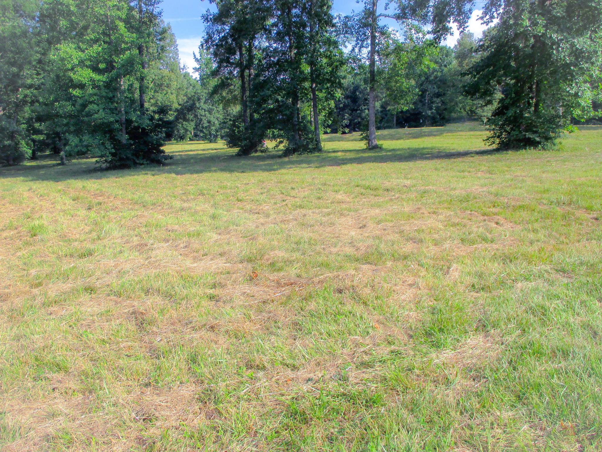 0 Spring Meadows Lane Morrison, TN 37357 - Photo 3 of 12 a view of a swimming pool with an outdoor space and seating area