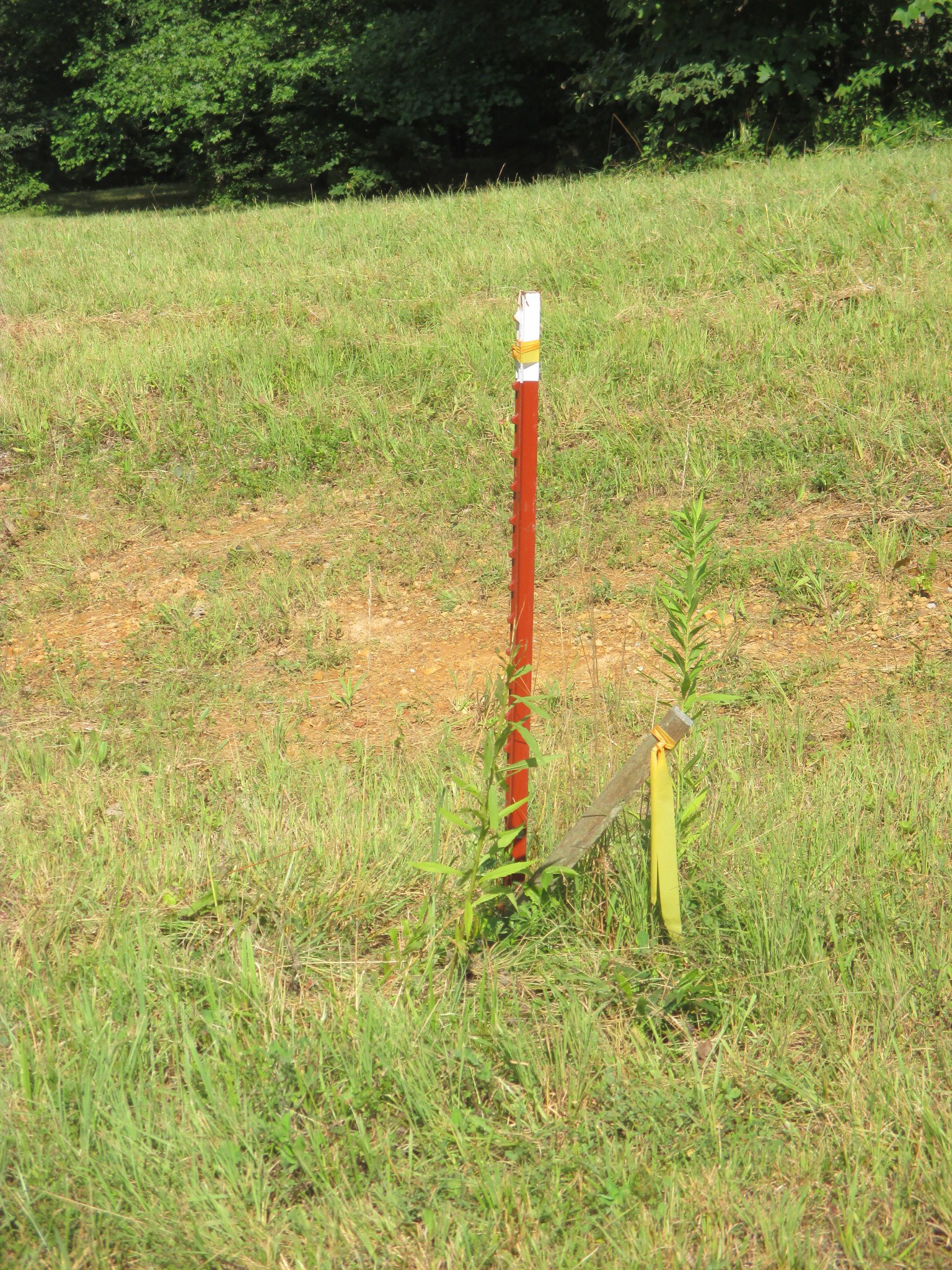 0 Spring Meadows Lane Morrison, TN 37357 - Photo 5 of 12 a view of a garden with a small pool