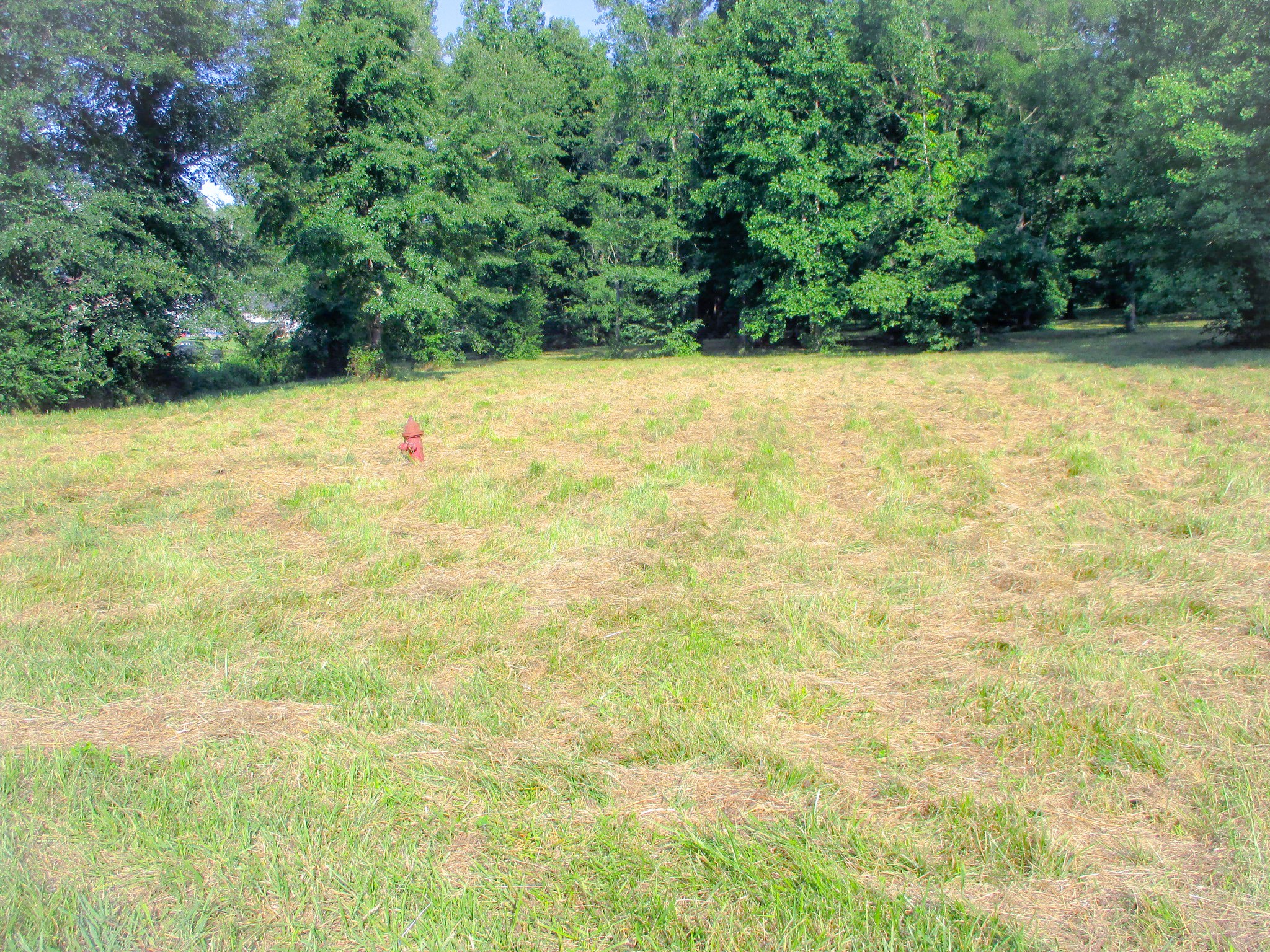 0 Spring Meadows Lane Morrison, TN 37357 - Photo 7 of 12 a view of white wall with a yard