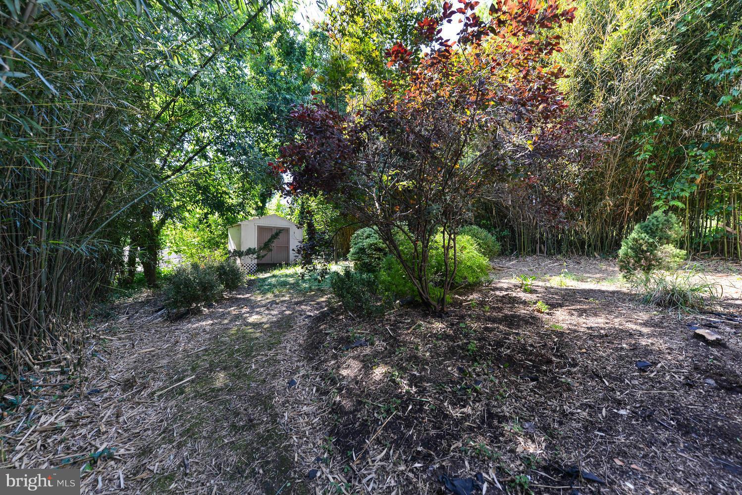 3802 32nd Street Mount Rainier, MD 20712 - Photo 24 of 27 Exterior (Rear)