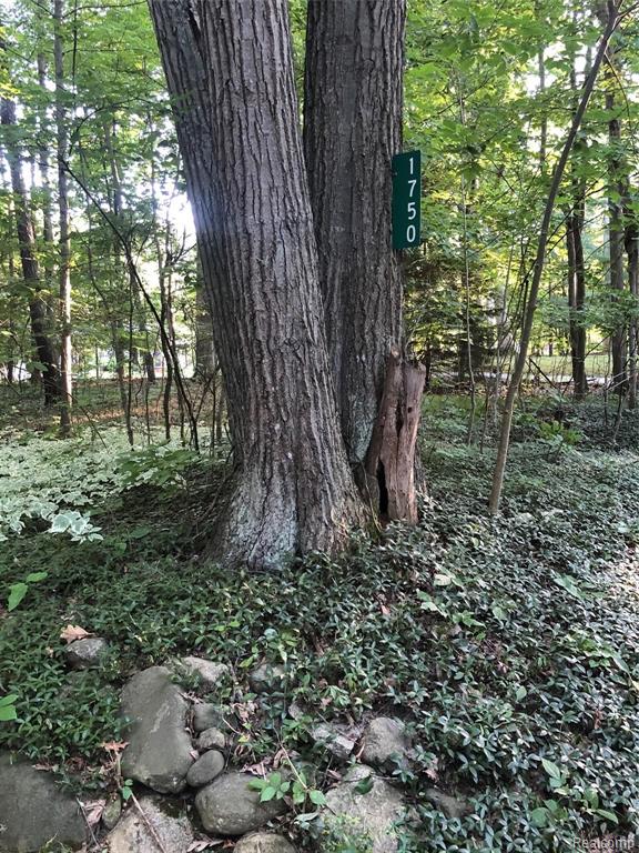 1750 Brewer Road Leonard, MI 48367 - Photo 10 of 67