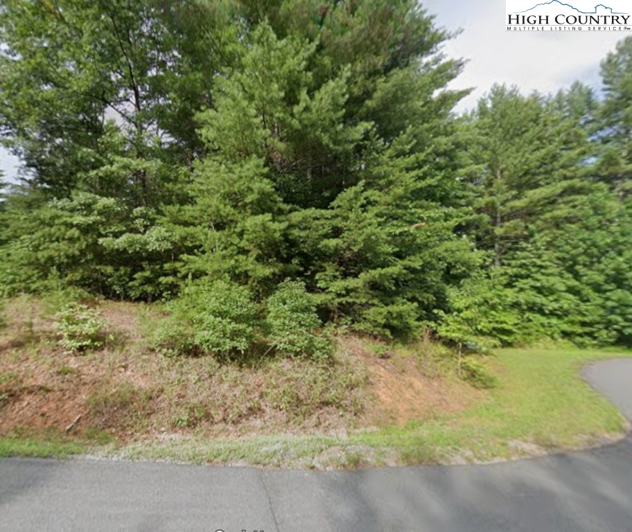86 Conroy Court Collettsville, NC 28611 - Photo 1 of 1 a view of a forest with a tree