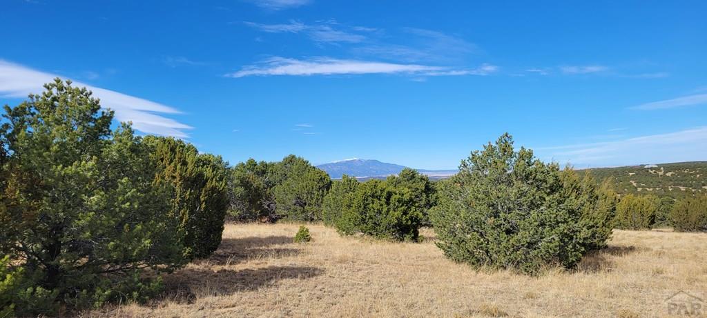 Lot 34 Silver Spur Road Walsenburg, CO 81089 - Photo 19 of 43