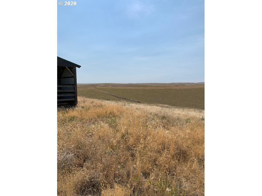 Schroeder Road Pendleton, OR 97801 - Photo 4 of 9