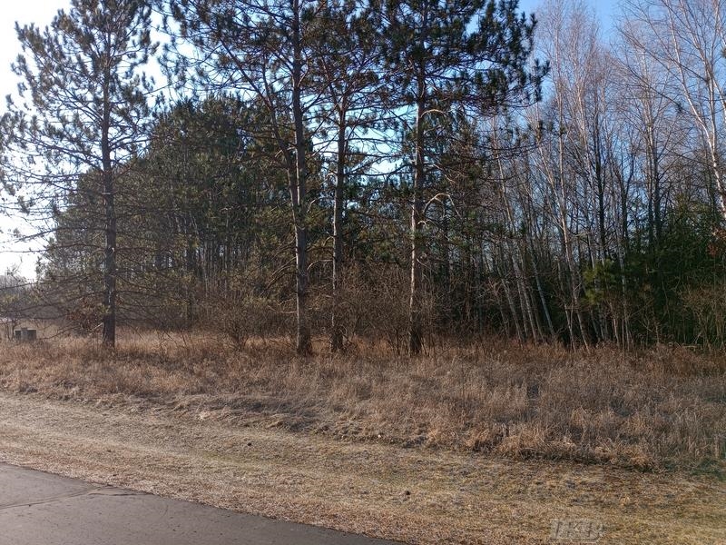 Lot 5 Castleview Gladwin, MI 48624 - Photo 3 of 9