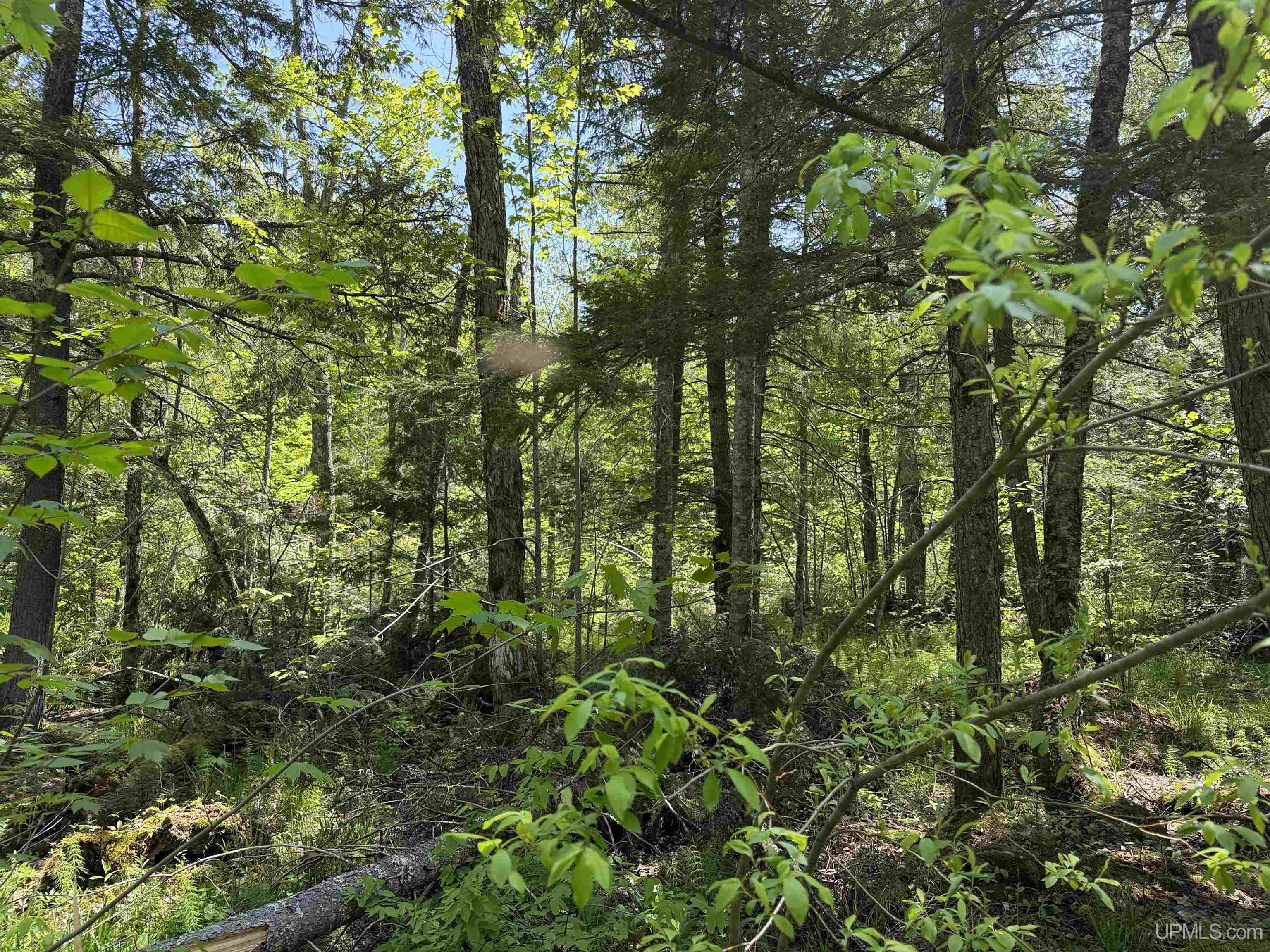 Off East Lake Road Ironwood, MI 49938 - Photo 4 of 30