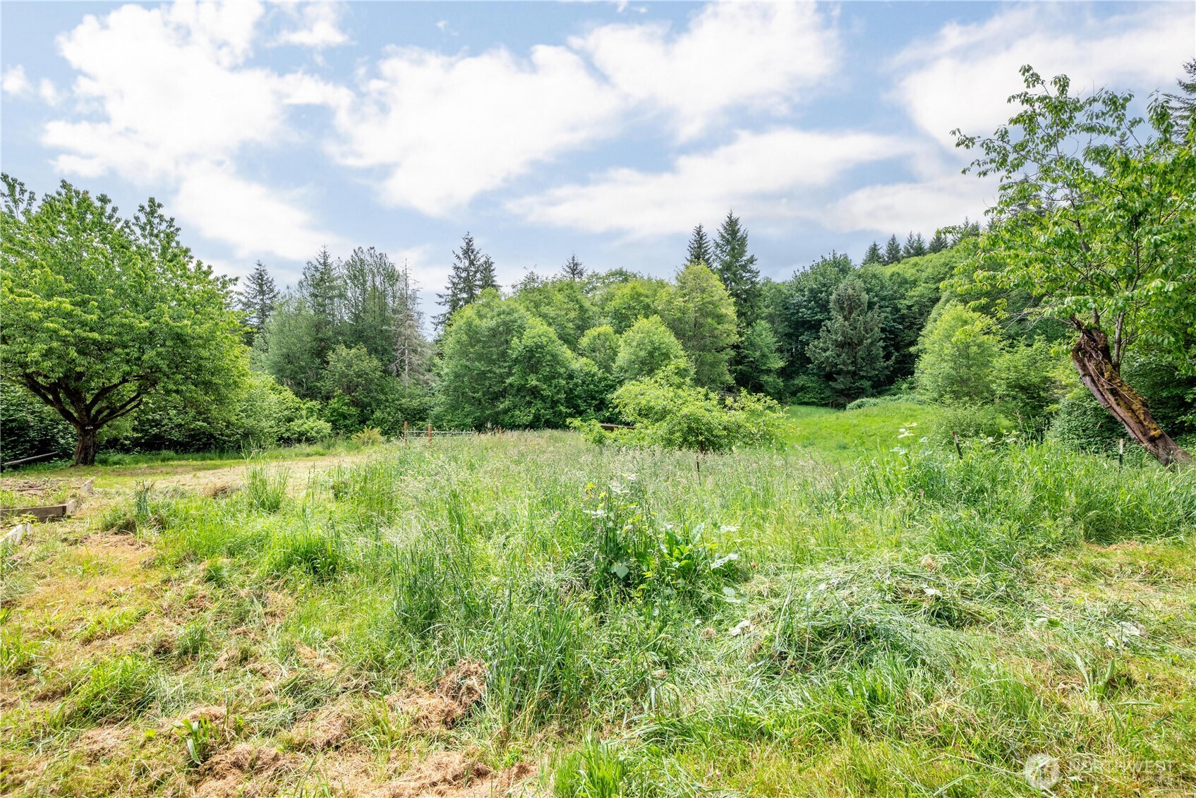355 Slide Creek Road Longview, WA 98632 - Photo 29 of 36