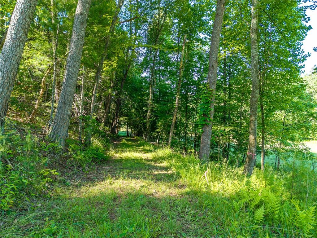 5664 Mobile Road Blue Ridge, GA 30513 - Photo 75 of 82