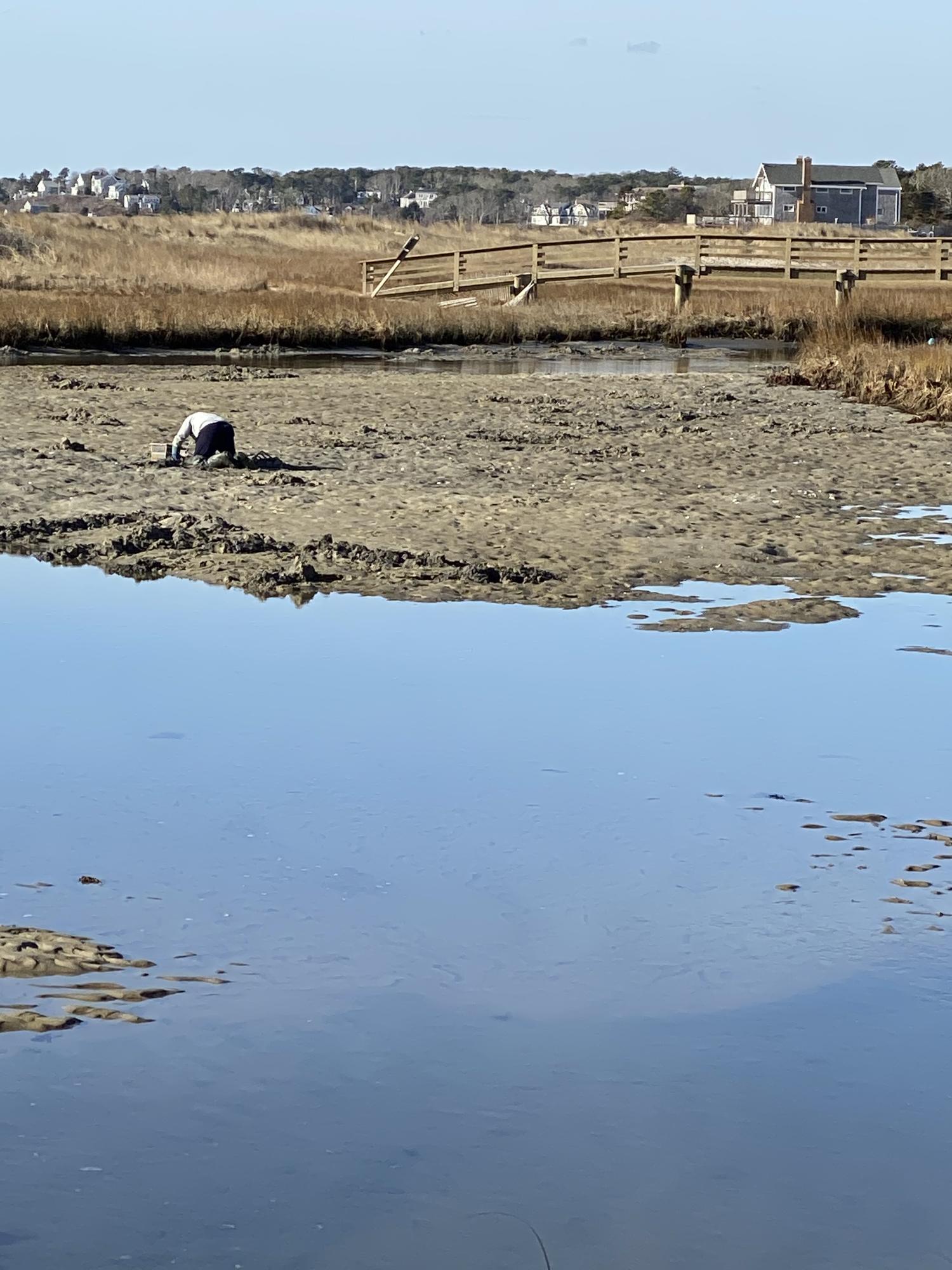 41 Patterson Road Chatham, MA 02633 - Photo 8 of 13 Clammer