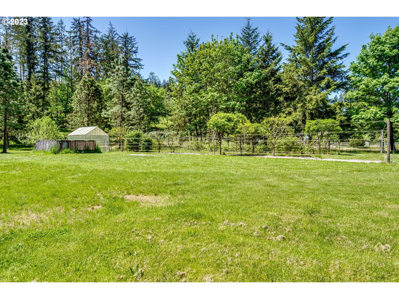 34886 Mathews Road Eugene, OR 97405 - Photo 34 of 48 a view of a grassy field with trees