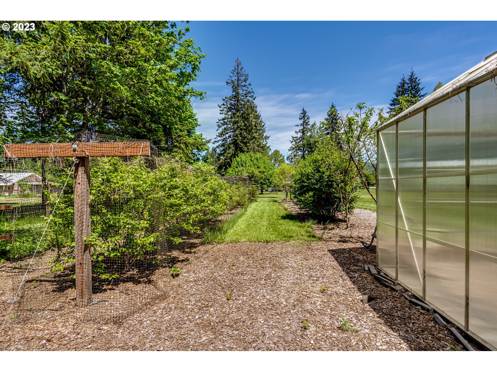 34886 Mathews Road Eugene, OR 97405 - Photo 36 of 48 a backyard of a house with lots of green space