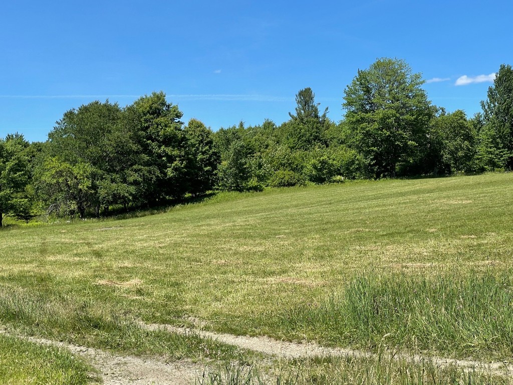 5613 County Line Road Willet, NY 13862 - Photo 4 of 6