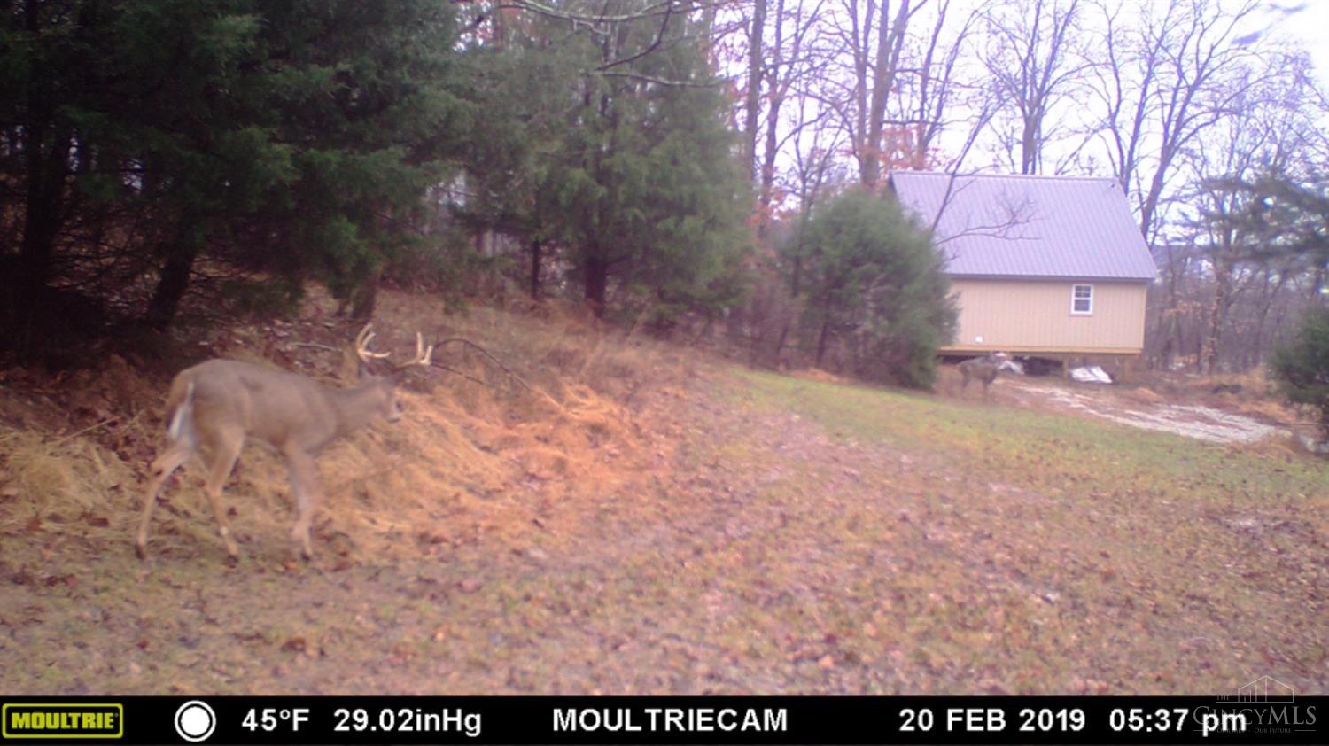 5534 State Rte 7 South Gallipolis, OH 45631 - Photo 70 of 75 Gallery Image 70