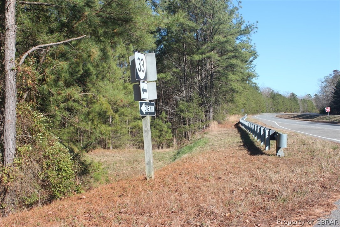 16.3-ac Pierce Road Saluda, VA 23149 - Photo 4 of 18