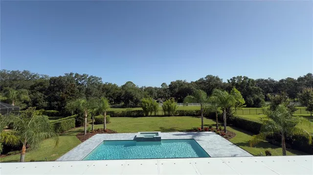 a view of a park with large trees
