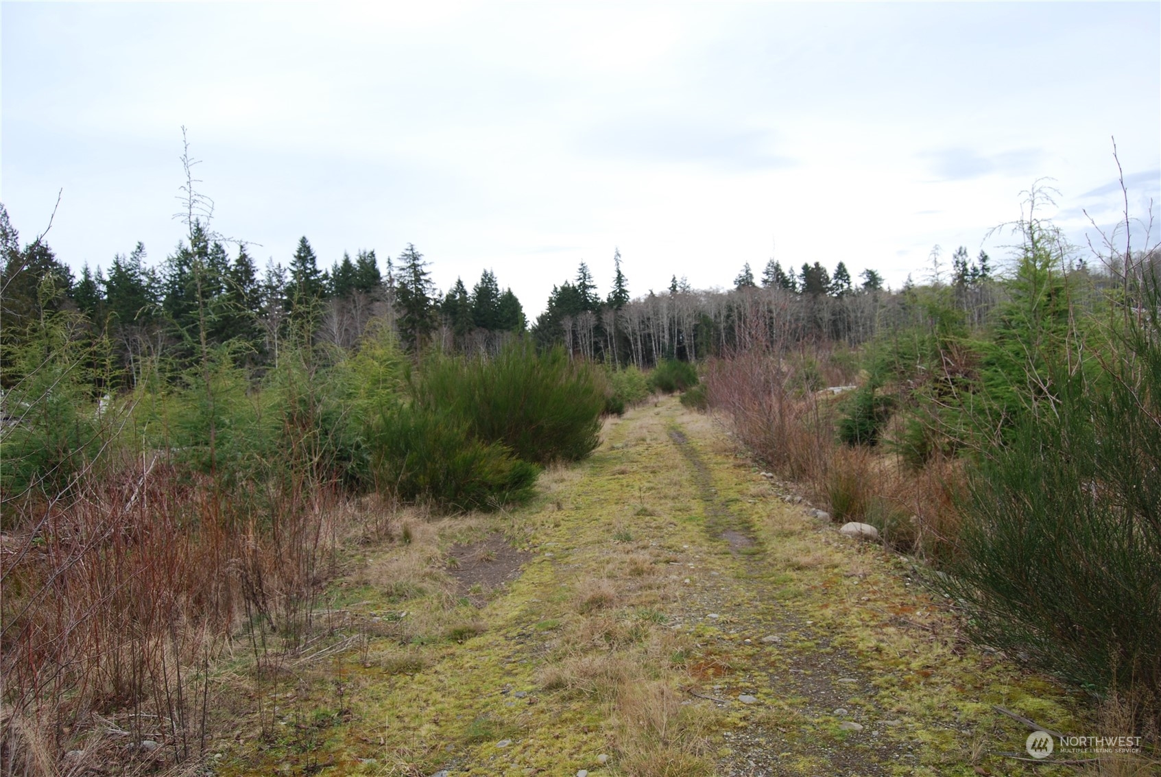0 Shimko Road Port Angeles, WA 98363 - Photo 1 of 6 Gallery Image 1