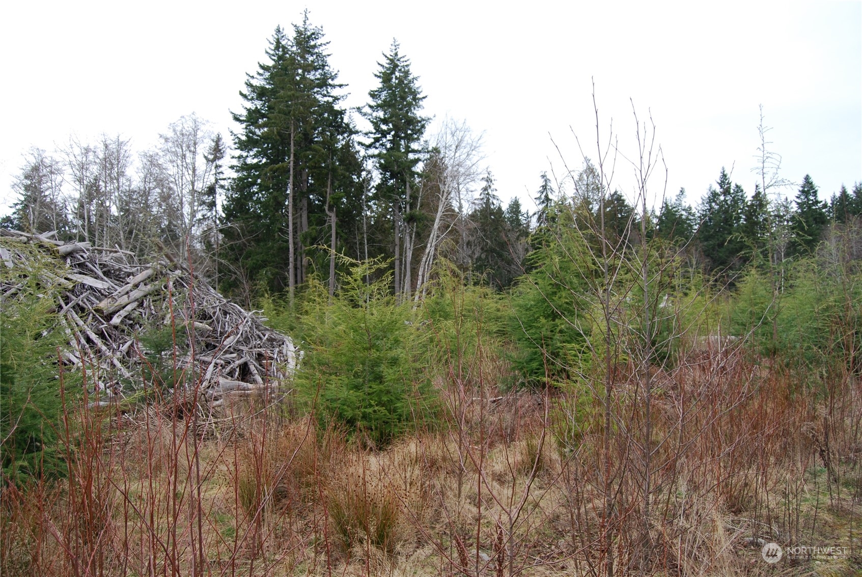 0 Shimko Road Port Angeles, WA 98363 - Photo 3 of 6 Gallery Image 3