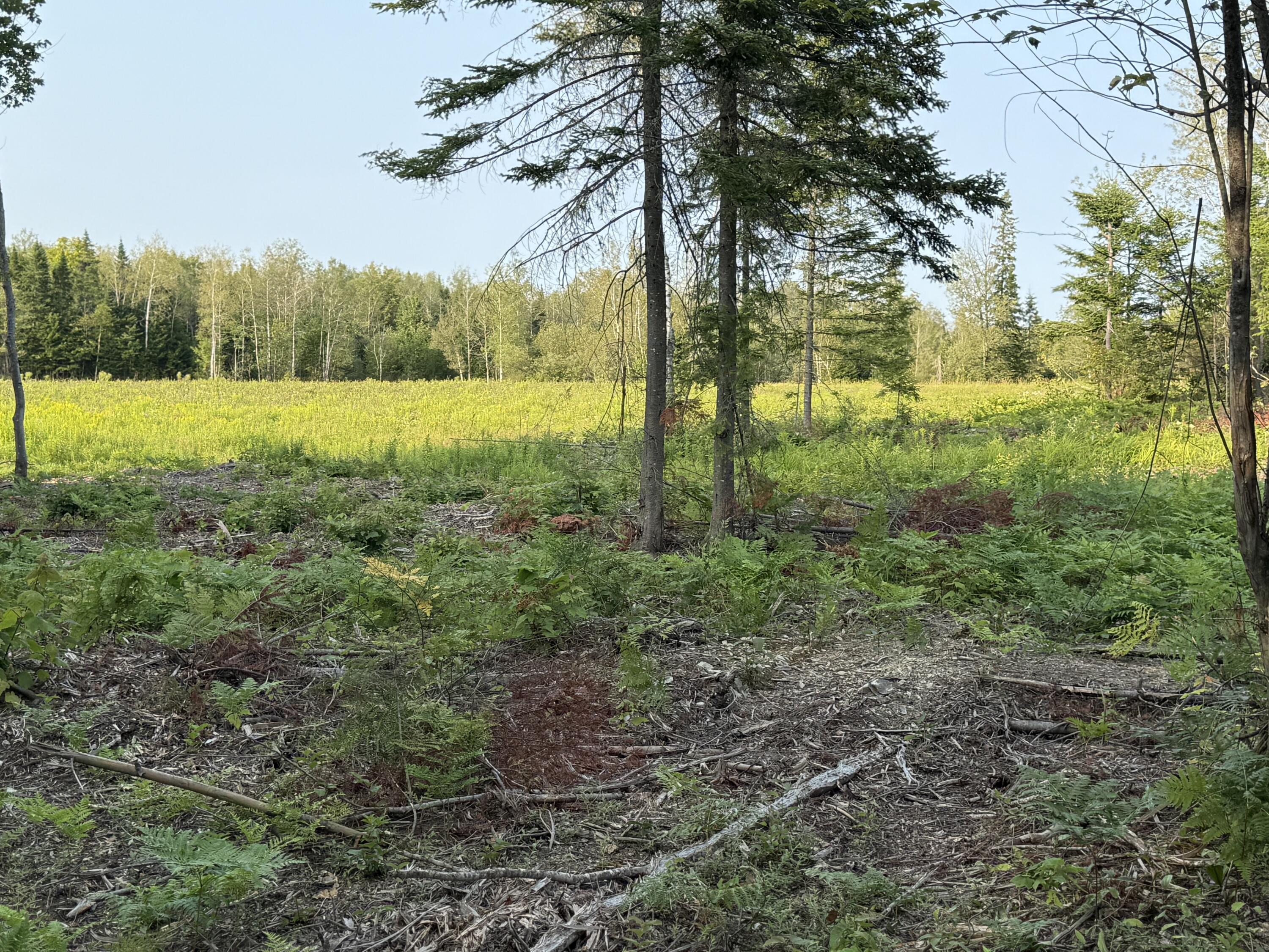 M19-l57 Lavertu Road St. David, ME 04773 - Photo 13 of 22 IMG_1236