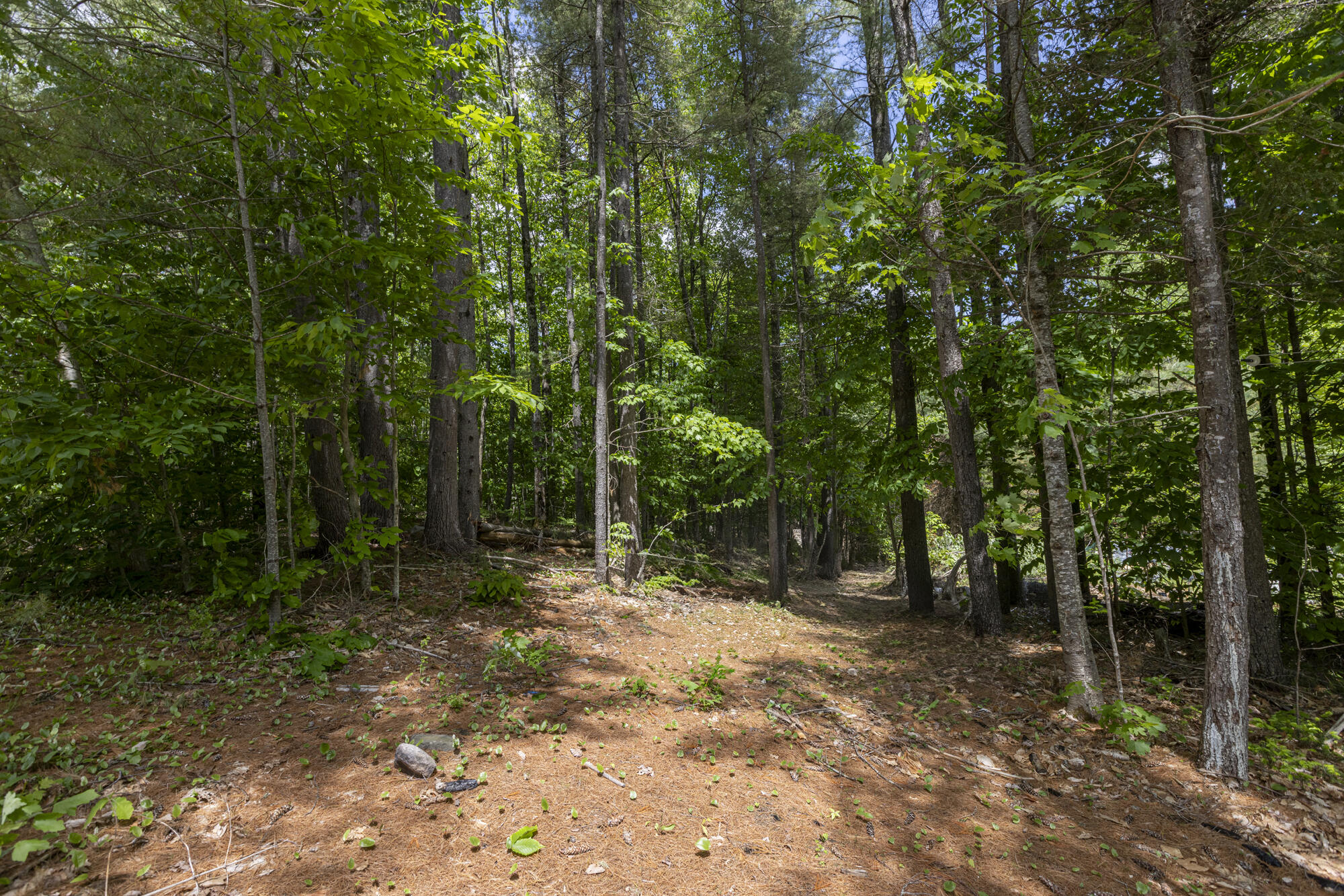 318 Fosterville Road Bridgton, ME 04009 - Photo 68 of 70 318 Fosterville Rd_011