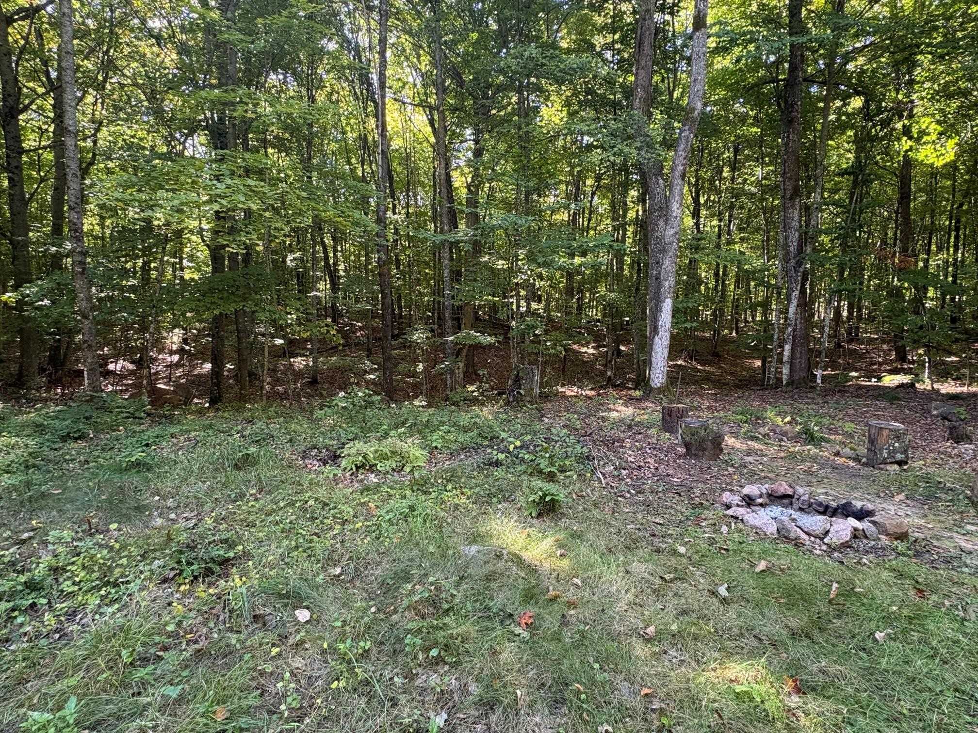 N12175 Bear Cave Road Silver Cliff, WI 54104 - Photo 3 of 10 Gallery Image 3
