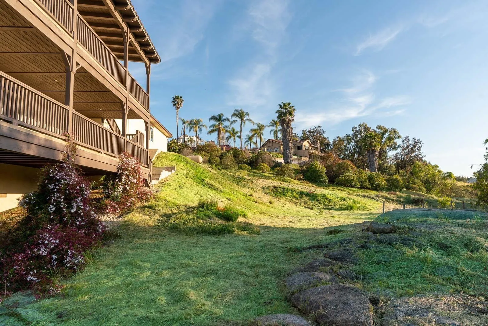 31781 Wrightwood Road Bonsall, CA 92003 - Photo 40 of 46 a view of a yard with plants and trees