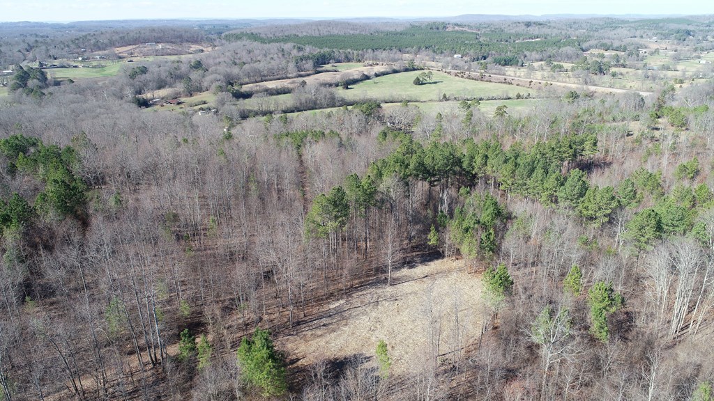 Tract #9 Tract Road, Unit TRACT #9 Cohutta, GA 30710 - Photo 12 of 15 LOT 9 UPPER VIEW