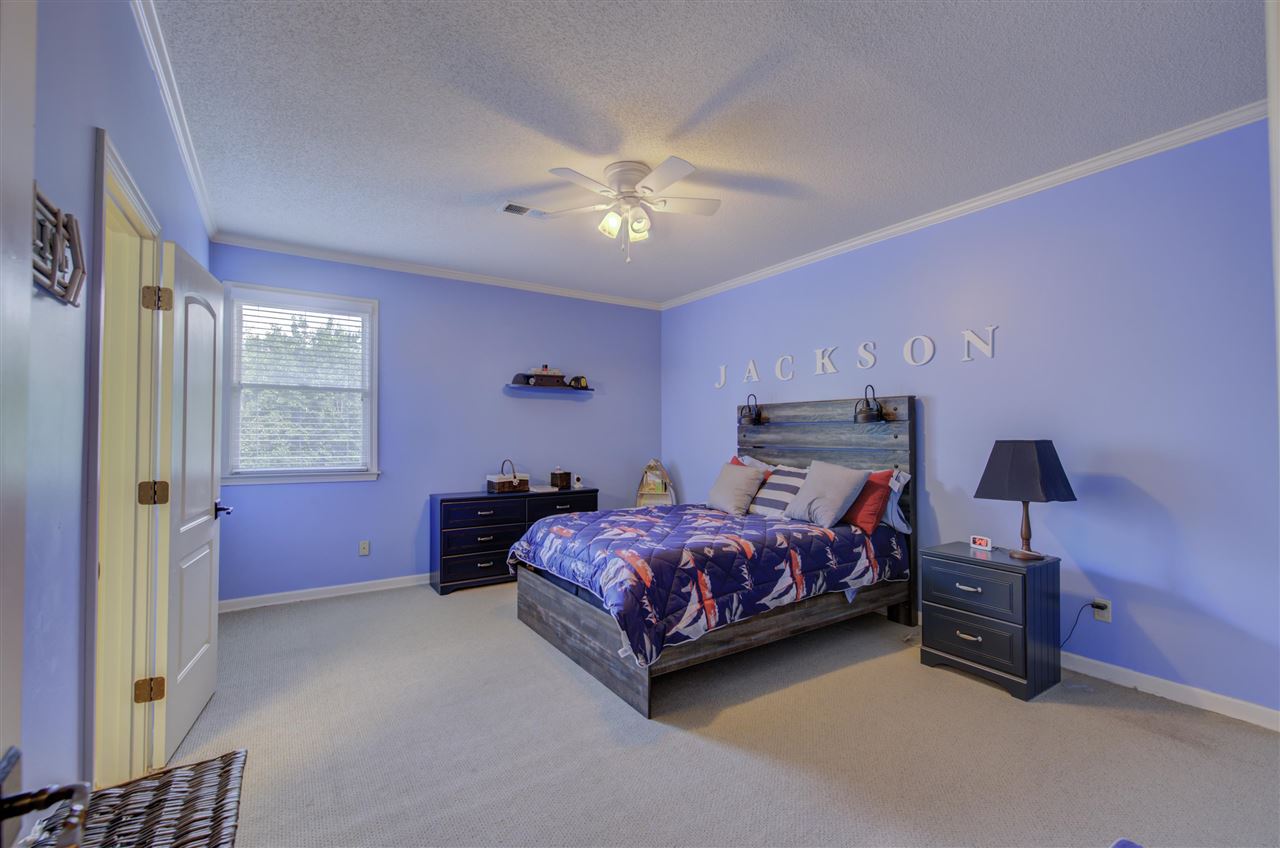 591 Ridge Springs Road Collierville, TN 38017 - Photo 19 of 25