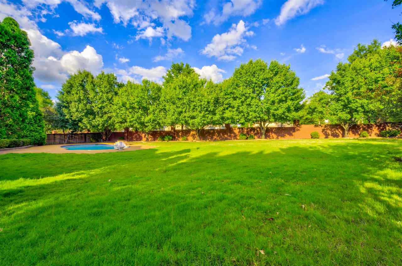 591 Ridge Springs Road Collierville, TN 38017 - Photo 25 of 25